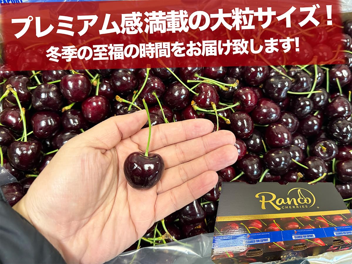 Amazon.co.jp: ダークチェリー 約5kg 産地箱｜大粒サイズ｜チリ産
